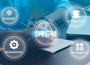 重慶引序科技 專業(yè)網(wǎng)站建設與網(wǎng)絡技術服務領航者